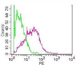 Monoclonal antibody to Mouse ICOS (Clone: 7E.17G9)